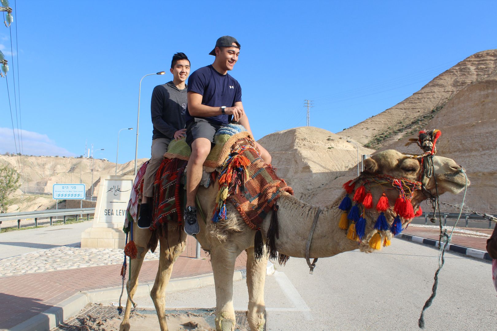 Riding a camel in Israel